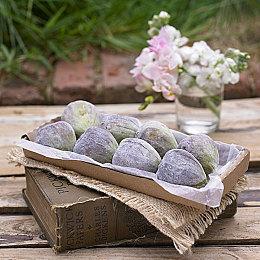 《火焰纹章 Engage》芙兰角色介绍公开 游戏明年1月发售